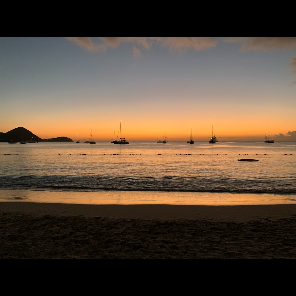 Meet your Posher, Rylie